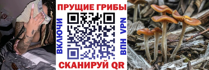 Галлюциногенные грибы GOLDEN TEACHER  закладки  Ханты-Мансийск 